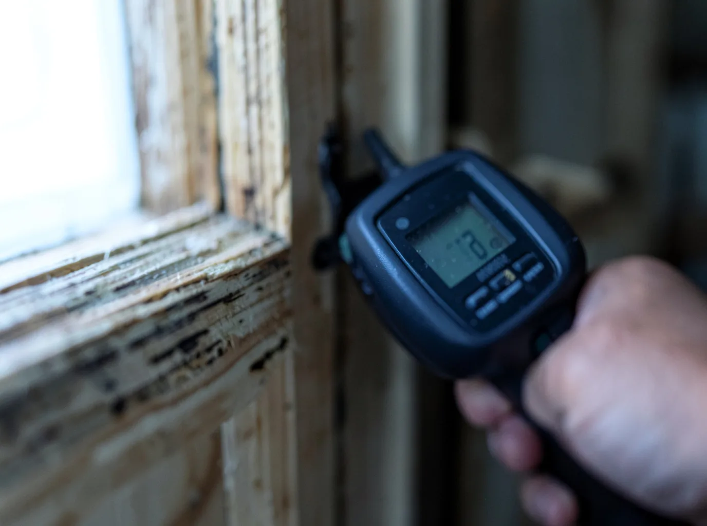 Moisture Inspection And Documentation in Coinjock, NC